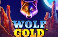 Wolf Gold